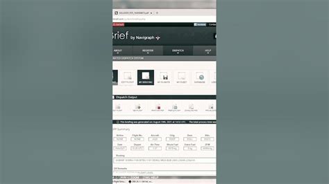 Simbrief Tutorial 的图像结果