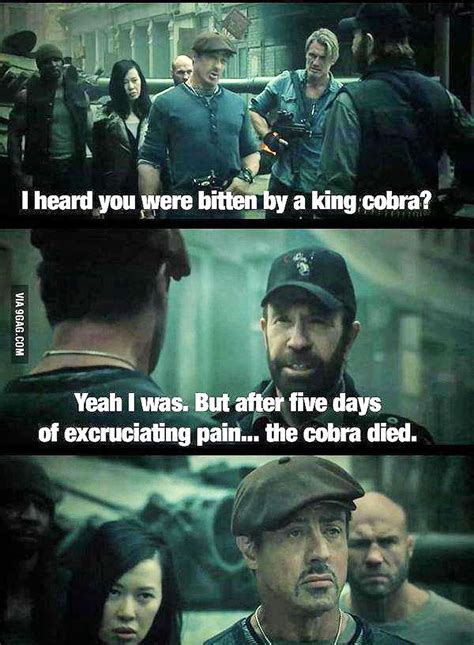A Chuck Norris Fact casually dropped in the The Expendables 2. | Chuck norris jokes, Chuck ...