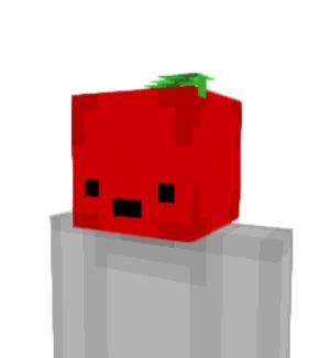 Image result for Pixlriffs Minecraft Skin Head