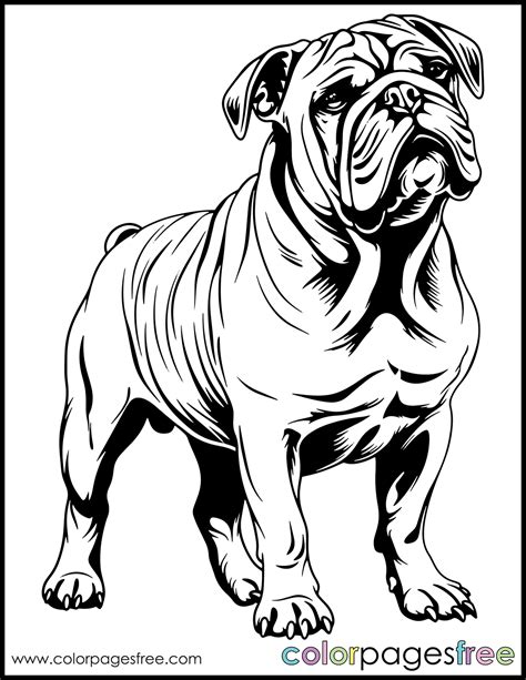 Free Printable Bulldog Coloring Page | colorpagesfree.com