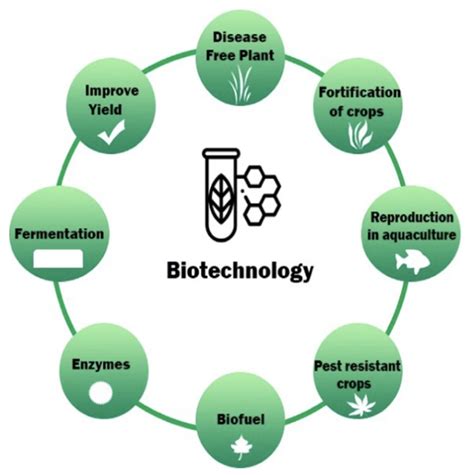 Biotechnology Examples 的图像结果