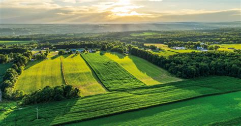 Image result for Fodder Flow