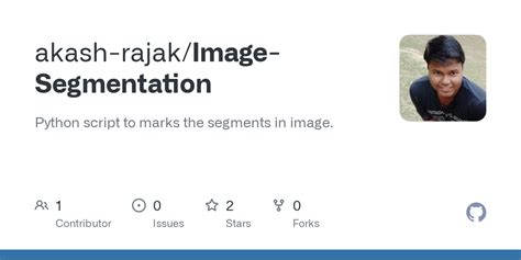 Image Segmentation Python 的图像结果