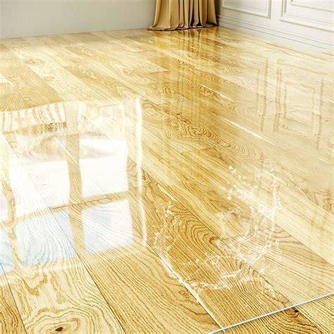 Amazon.com : Clear Floor Mat Scratch Resistant Hardwood Floors ...