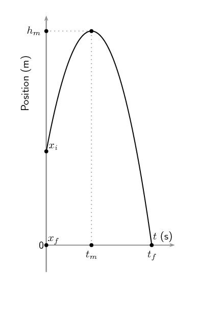 Image result for Vertical Projectile Motion Image