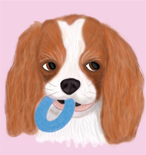 Image result for Pattern Poole