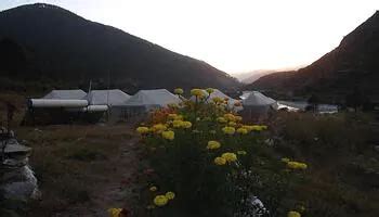 Barkot Hotel Camp Nirvana Online Booking