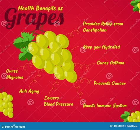 Health Benefits of Grapes. Fresh Fruit Stock Vector - Illustration of fruit, metabolism: 146354632