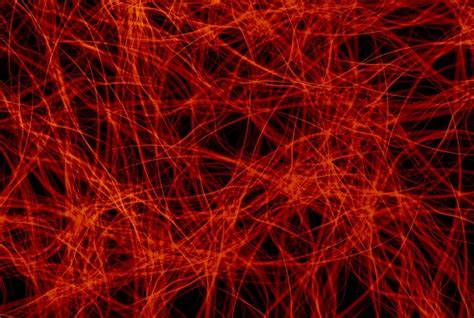 Computer Network Digital Wallpaper 的图像结果