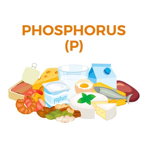 The Essential Role of Phosphorus in Bone Health Revealed – HealthyHey Nutrition