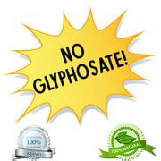 Buy Natural Armor Weed & Grass Killer All-Natural Concentrated Formula ...