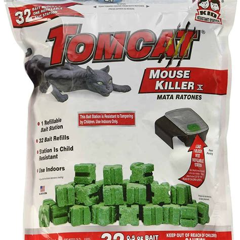 11 Best Mouse Trap Baits to Catch Mice Fast - Disinpest