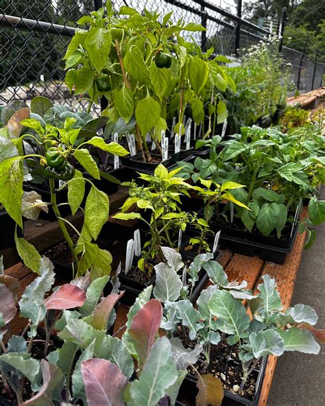 Peaceful Valley Farm & Garden Supply (@pvfgs_willamettevalley ...