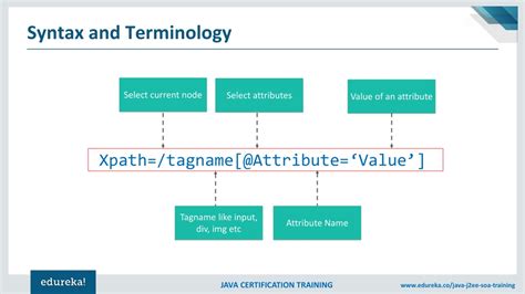 Image result for Selenium XPath Tutorial