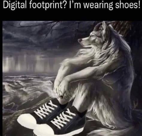 Sitting Wolf: Image Gallery | Know Your Meme