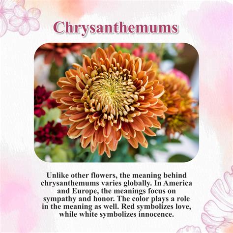 Tullahoma Funeral Home | Tullahoma TN