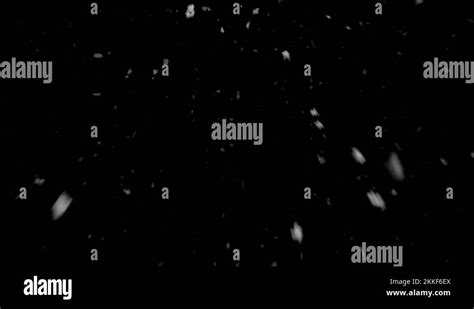 Image result for Snow Loop