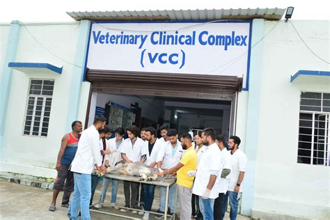 Veterinary Doctor Trivandrum at Cristal Lawrence blog