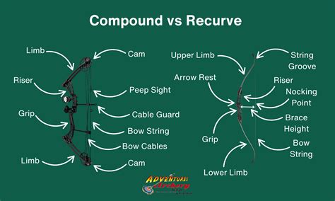 Great Starter Compound Bow