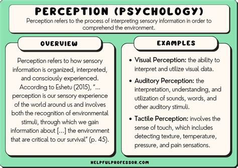 Image result for Understanding Perceptions
