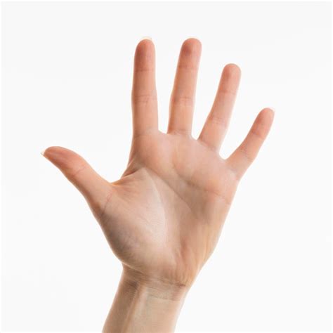 Front view of hand showing palm | Free Photo