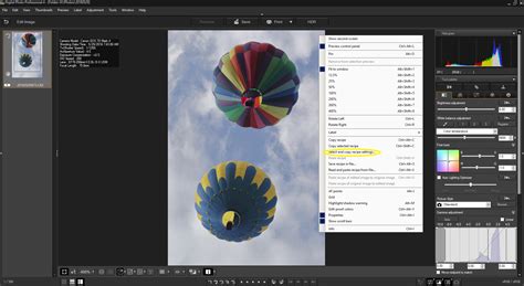 Image result for Canon DPP4 Tutorial