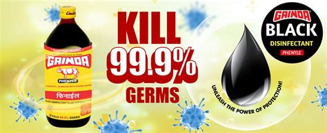 Gainda Black Phenyle Surface Disinfectant, Floor Cleaner Liquid for ...