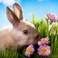Image result for Easter Baby Pictues Ideas