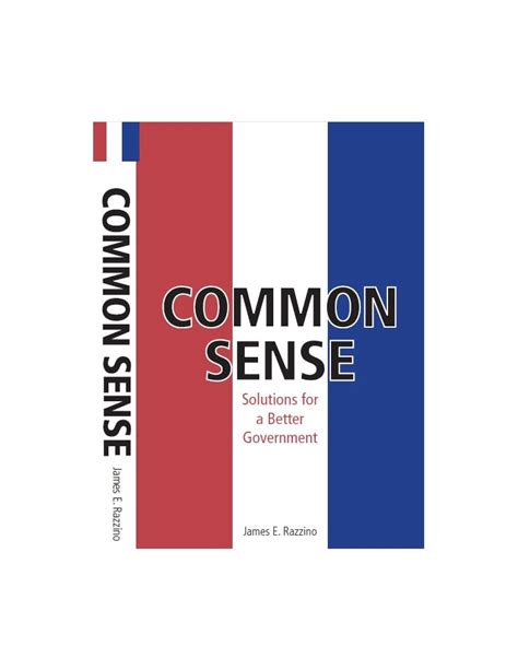 Common Sense: Solutions for a Better Government eBook : Razzino, James ...