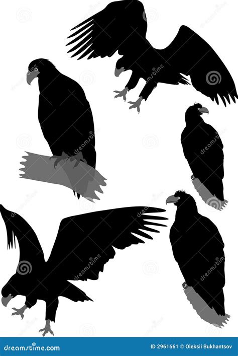 Silhouettes of eagles stock vector. Illustration of black - 2961661