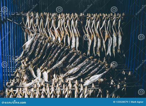 Image result for Fish Factory Tour