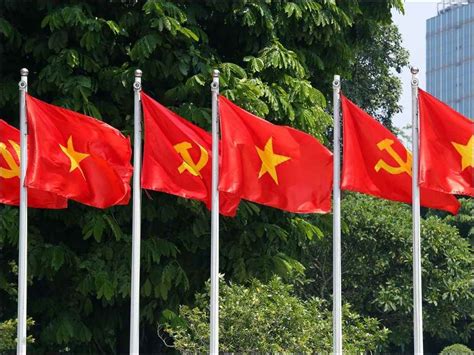 Image result for Personalized Computer Programs