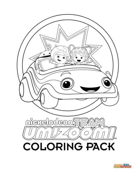 Image result for Box Turtle Bottom Shell