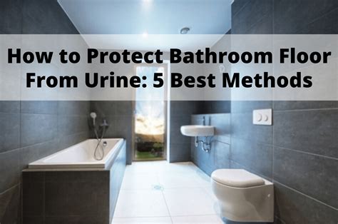 Popular Urine Proof Flooring To Upgrade