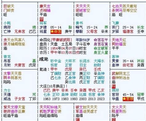 紫薇命盘（中国传统命理学）_摘编百科