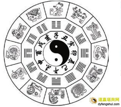 六爻八卦代表的人体象义全解 - 桦禄易学网