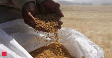 Unfair Tax: Mandi tax on grain procurement offers some states a double ...
