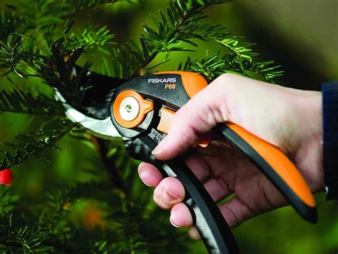 Best Garden Pruners Canada at Isaac Macquarie blog