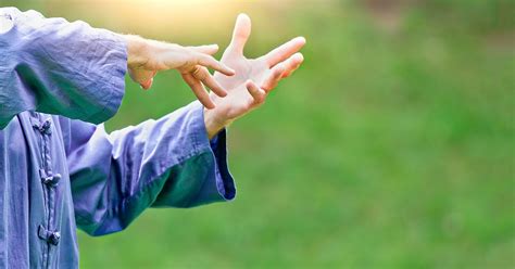 Tai Chi Flow Motion 的图像结果