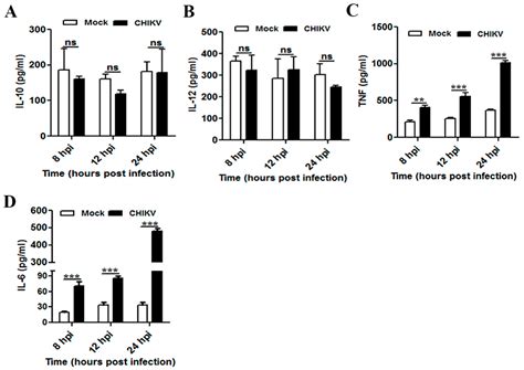 Regulation of Viral Replication, Apoptosis and Pro-Inflammatory ...
