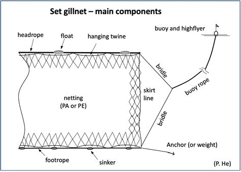 Fishing Nets Types