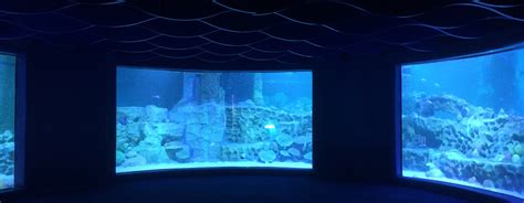 Marinescape India