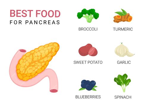 Foods Good For Pancreas