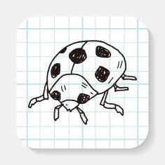 Image result for Doodlebug Drawing