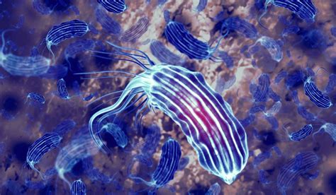 The rising spectre of superbugs in India