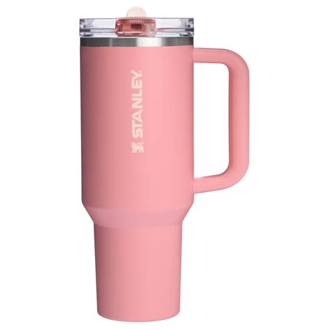 Stanley The Quencher ProTour Flip Straw Tumbler | 40 OZ Pink Mesa ...