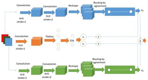 Capsule Network with Its Limitation, Modification, and Applications—A ...