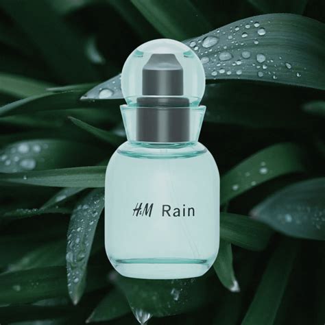 Perfumes That Smell Like Rain | SOKI LONDON