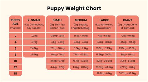 The Complete Puppy Feeding Guide | With Charts & Weights | Pooch & Mutt
