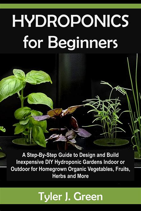 Basic Hydroponics for Beginners 的图像结果